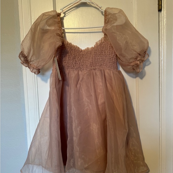 Lizard Thicket Blush Sheer Dress - Picture 2 of 6